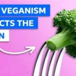How Being Vegan Affects Your Brain Health: What You Need to Know”- Indian Updates Health news