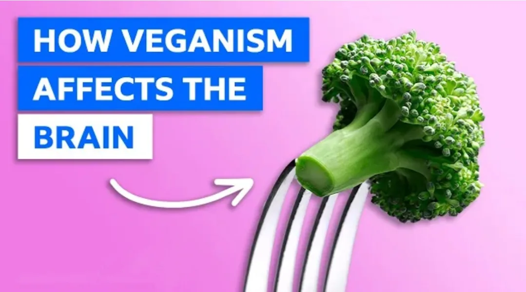 How a vegan diet affects your brain-Indian Updates Health News
