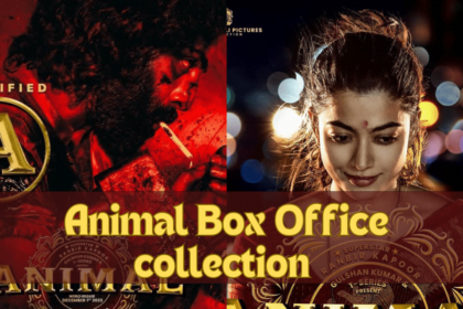 Animal Box Office collection